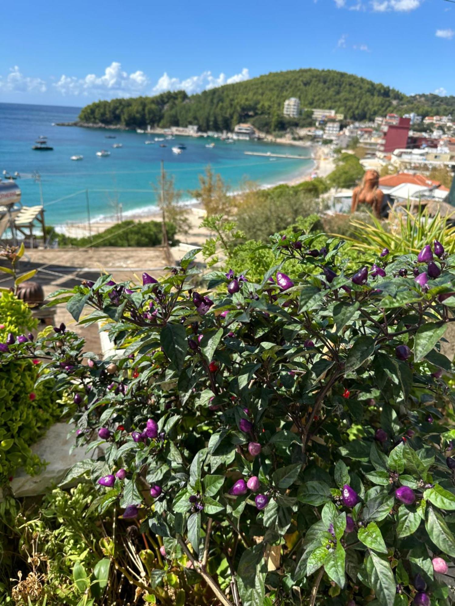 Fane'S Apartments Himare Exterior photo