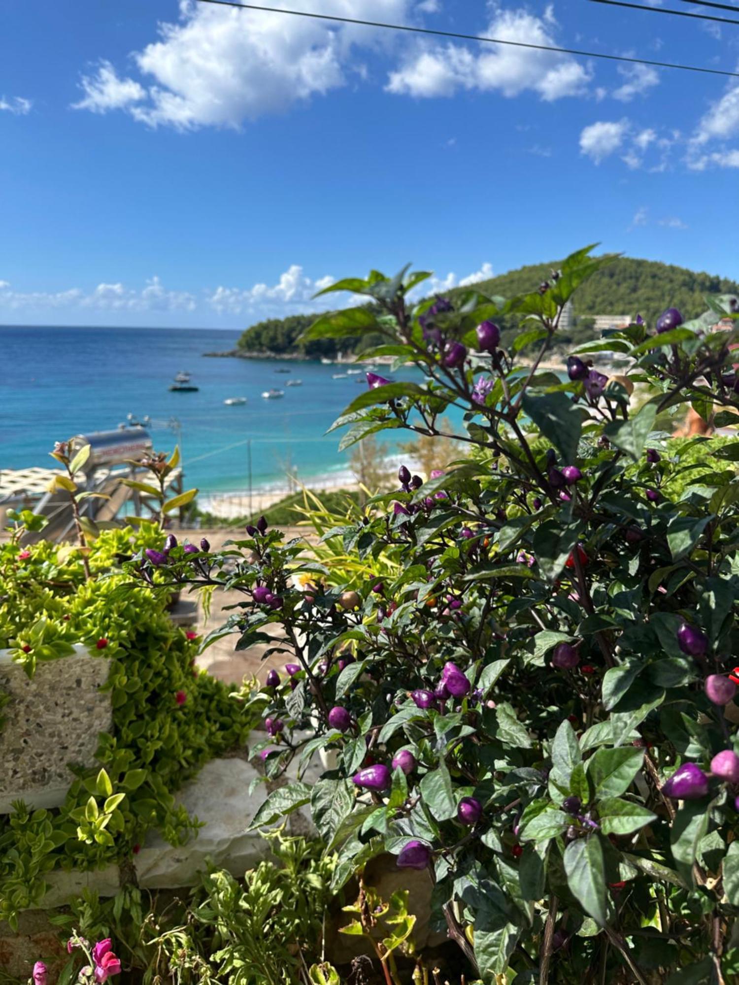 Fane'S Apartments Himare Exterior photo
